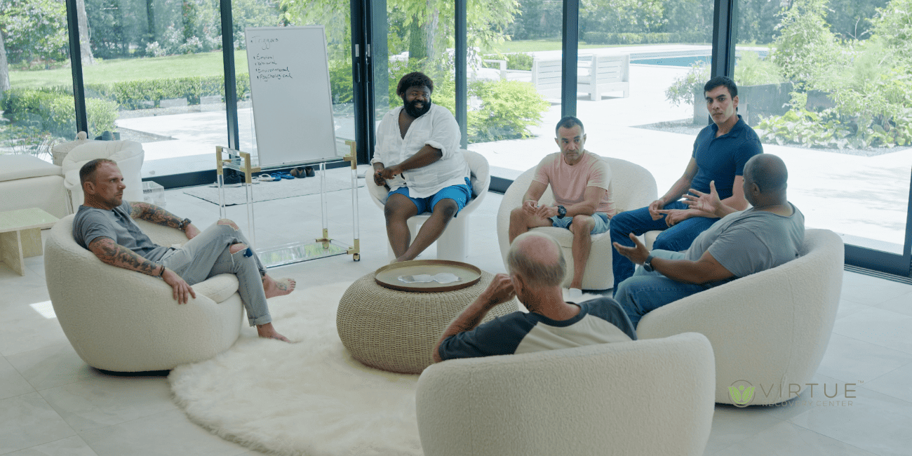 Drug Rehab Program - Virtue Recovery Detox Sun City West Drug Rehab Program