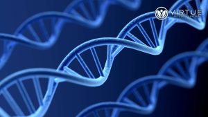 Does Crystal Meth Use Damage DNA